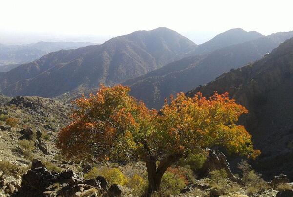 عکس طبیعت زیبای جیرفت