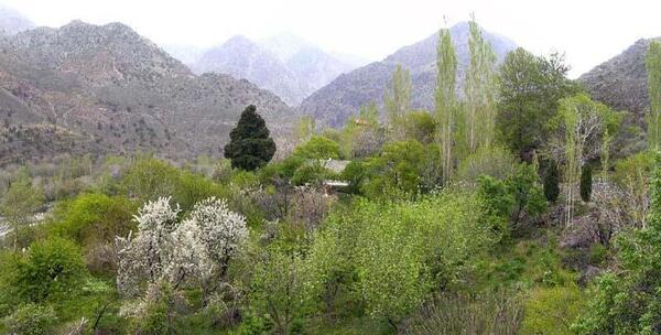 عکس طبیعت زیبای جیرفت