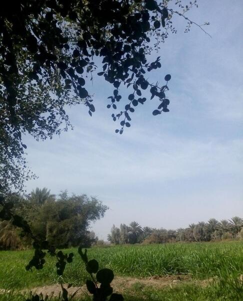 عکس طبیعت زیبای جیرفت