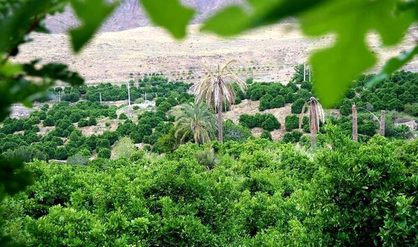 عکس طبیعت زیبای جیرفت