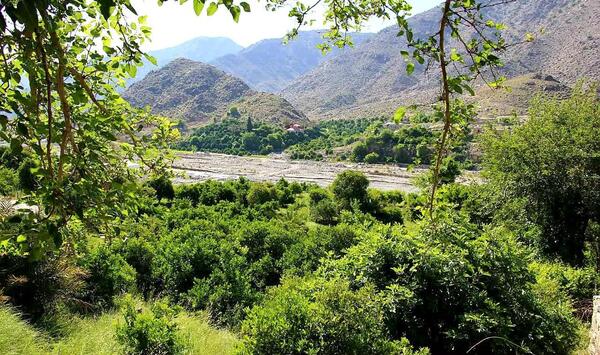 عکس طبیعت زیبای جیرفت