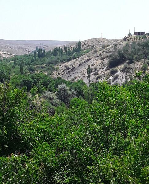 عکس طبیعت زیبای جیرفت
