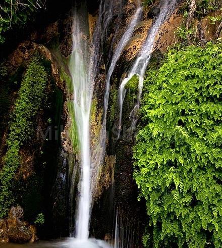عکس طبیعت زیبای جیرفت