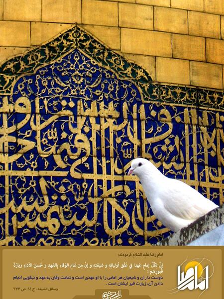 عکس ضریح مطهر امام رضا علیه السلام