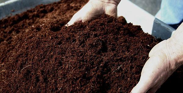 عکس خاک پیت ماس