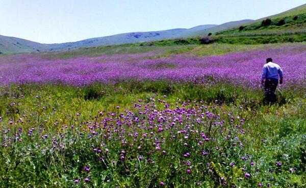 عکس روستا های اردبیل