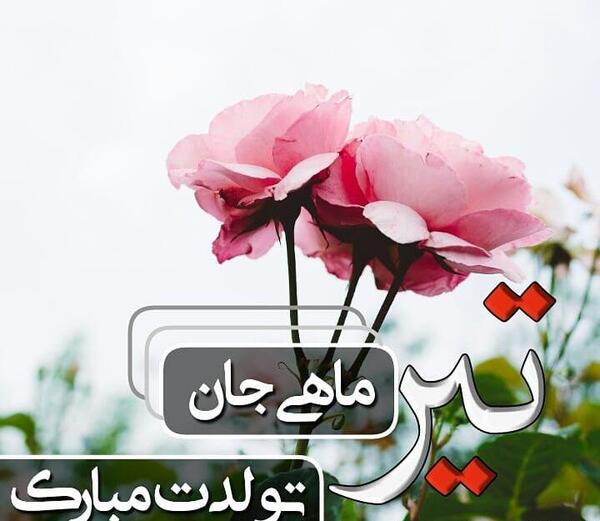 عکس تولدت مبارک تیر