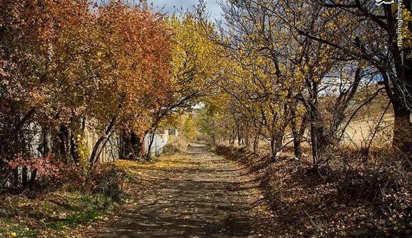 عکس طبیعت واقعی کردستان