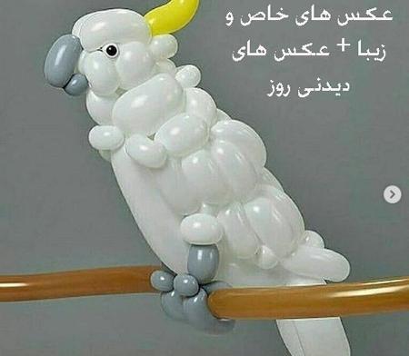 عکس دیدنی زیبا