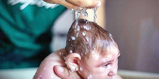 عکس پشه زیکا