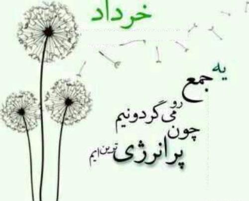 عکس ماه خرداد ۱۴۰۳