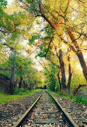 عکس دیدنی طبیعت