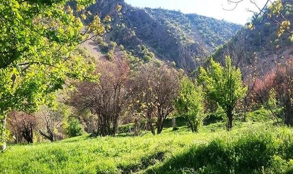 عکس تصاویر زیبای طبیعت خرم آباد