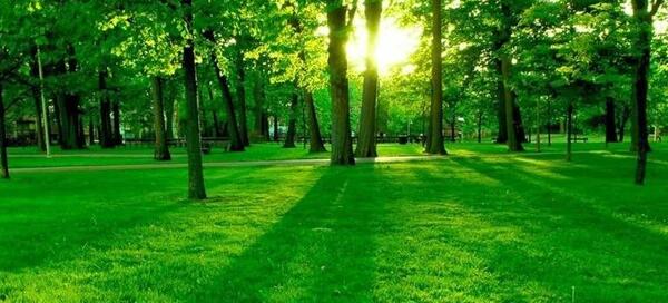 عکس جاهای سرسبز