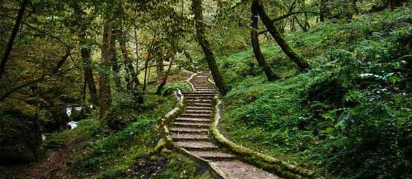 عکس دیدنی ماسوله