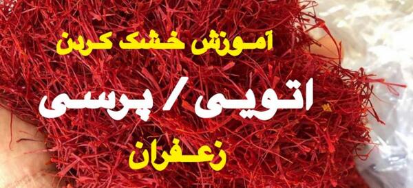 عکس زعفران پرسی
