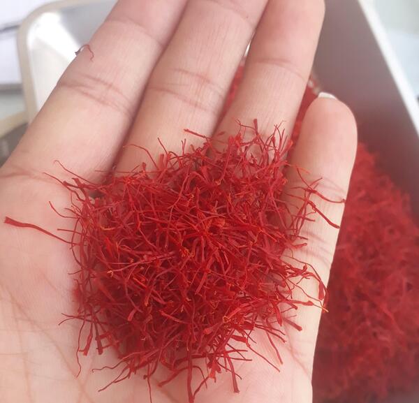 عکس زعفران پرسی