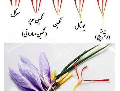 عکس نوشته زعفران