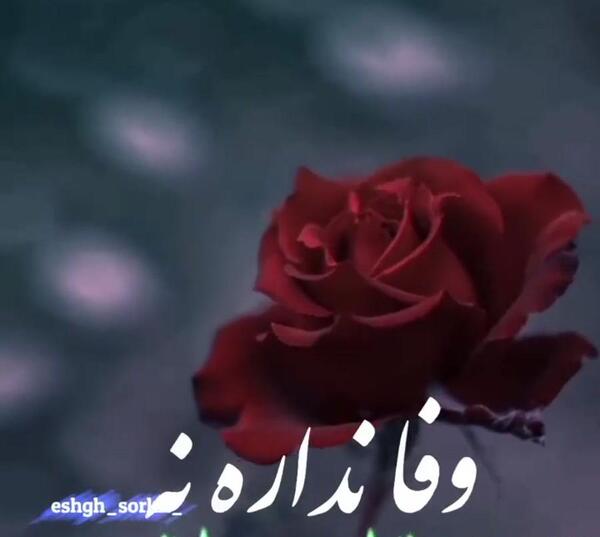 عکس استوری ظلم نکن