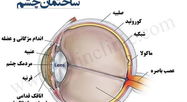 عکس داخل چشم انسان