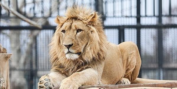 عکس حیوانات باغ وحش ارم