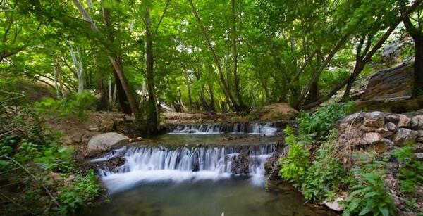 عکس جاهای سرسبز ایران