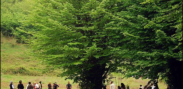عکس طبیعت نوروز