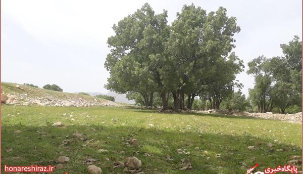 عکس طبیعت نوروز