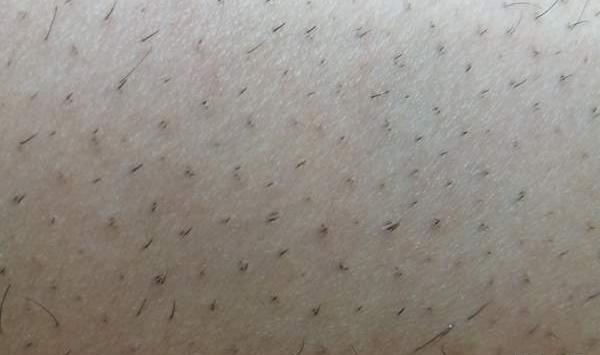 عکس ژیلت نی نی سایت