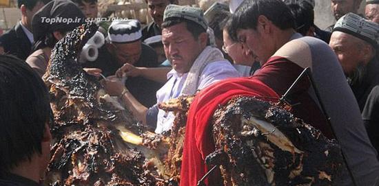 عکس شتر شترمرغ