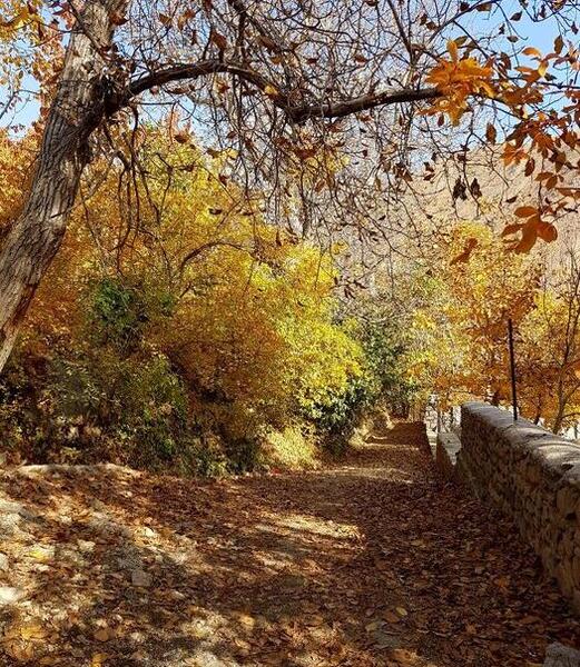 عکس روستا برگ جهان
