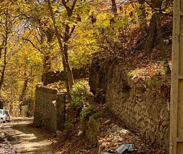عکس روستا برگ جهان