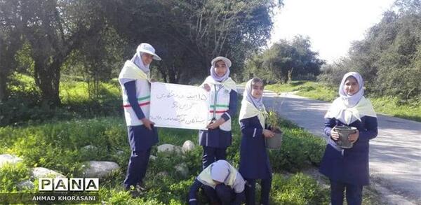 عکس از طبیعت لالی