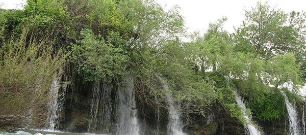 عکس از طبیعت لالی