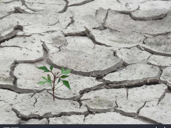 عکس خاک خشک