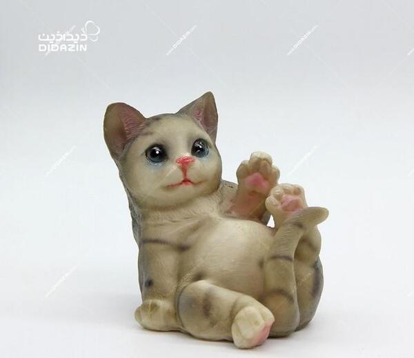 عکس گربه لم داده