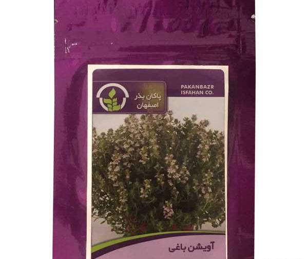 عکس بذر آویشن
