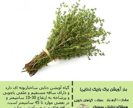 عکس بذر آویشن