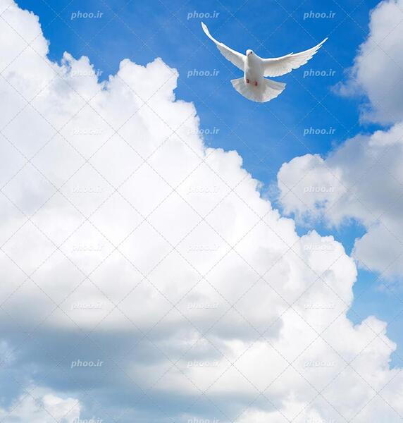 عکس آسمان سفید