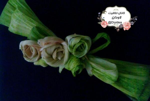 عکس پوست ذرت
