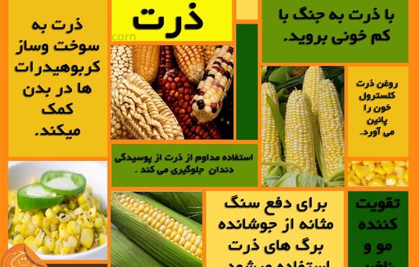 عکس پوست ذرت