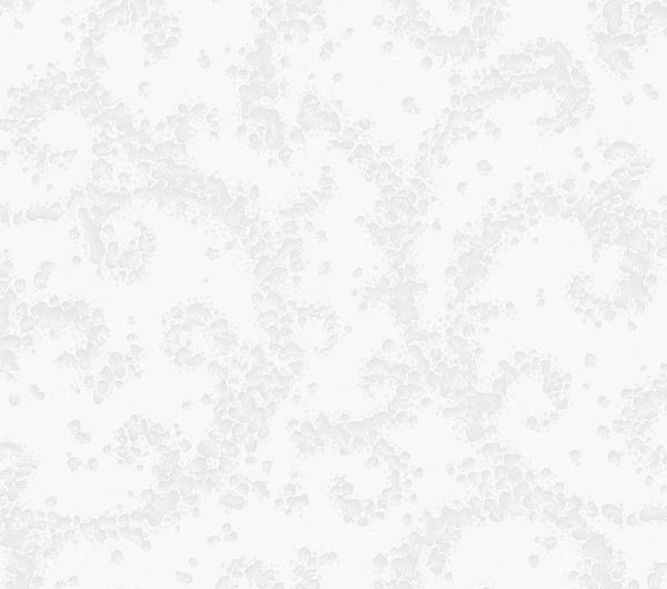 عکس هایی از صفحه سفید