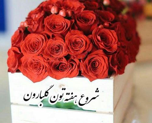 عکس صبح بخیر شروع هفته
