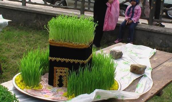 عکس سبزه عید واقعی