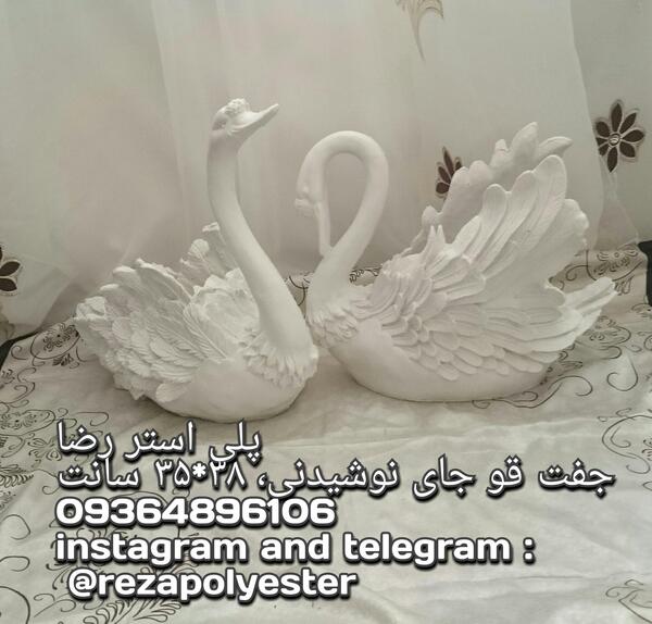 عکس قو جفت