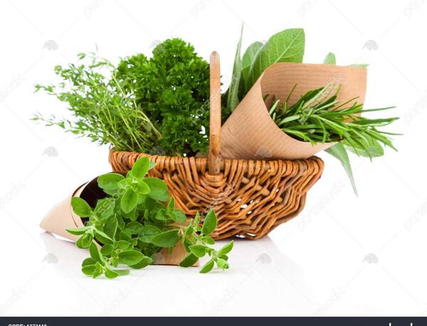 عکس جعفری کوهی