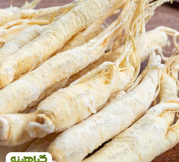 عکس جینسینگ آمریکایی