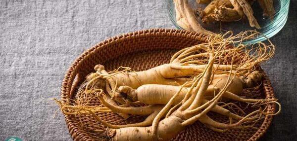 عکس جینسینگ آمریکایی