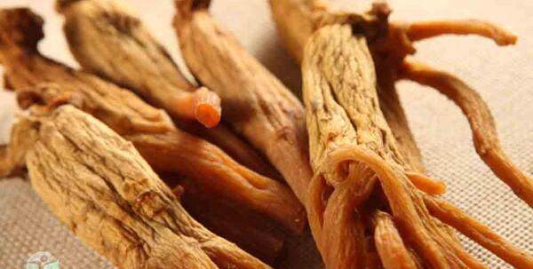 عکس جینسینگ آمریکایی