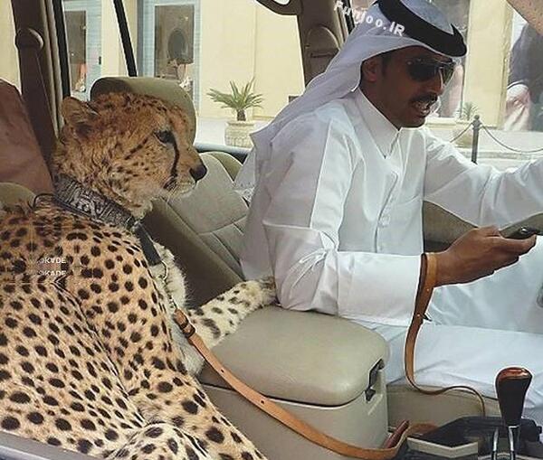 عکس جالب ها